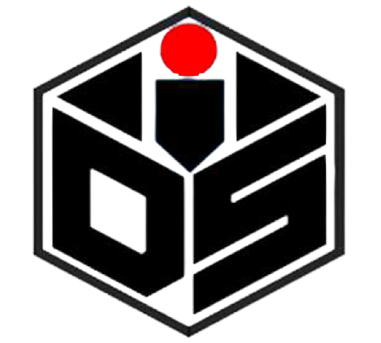 Dynamic Services Consulting, Inc.